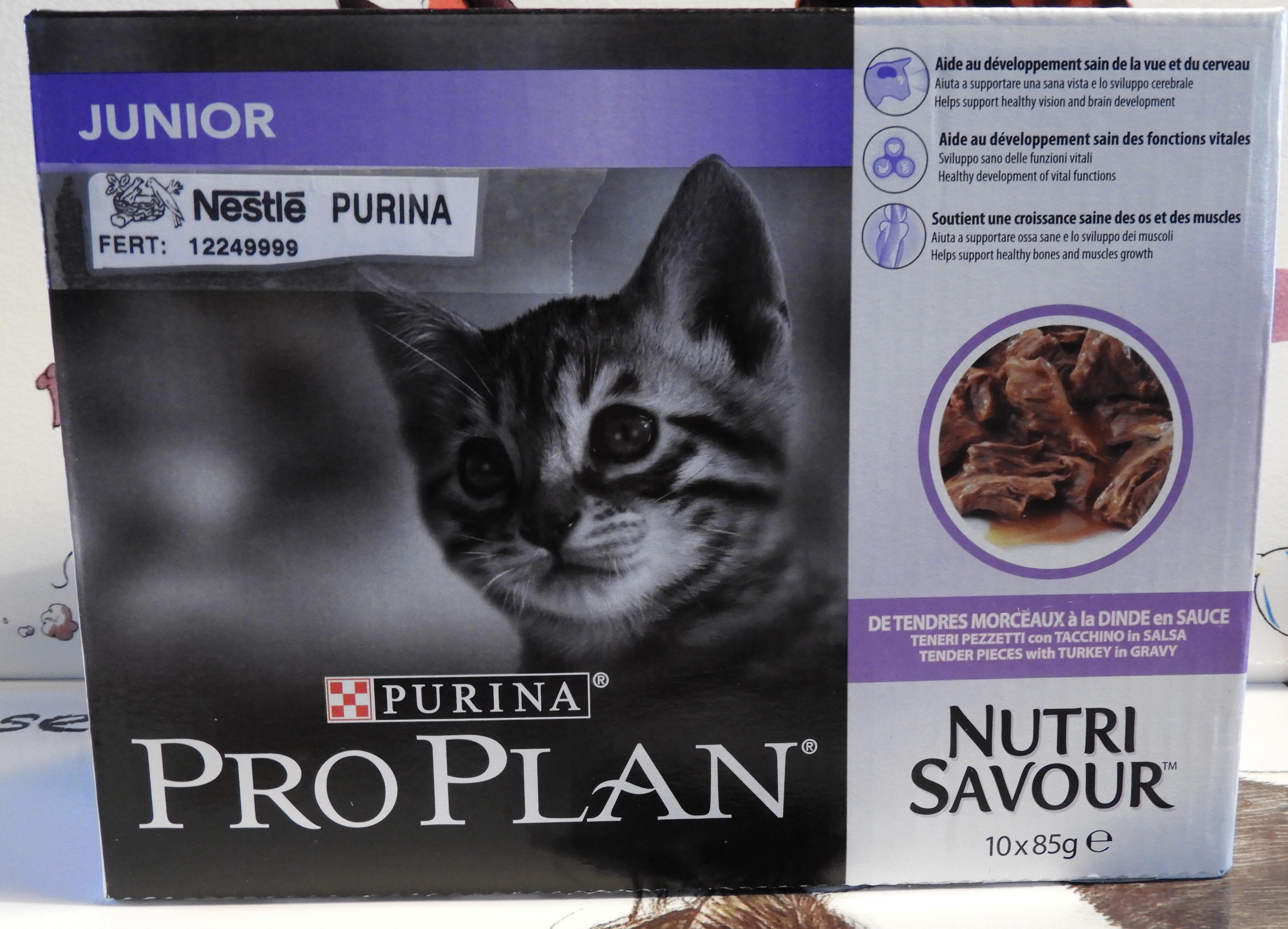 Pro Plan Junior - 2