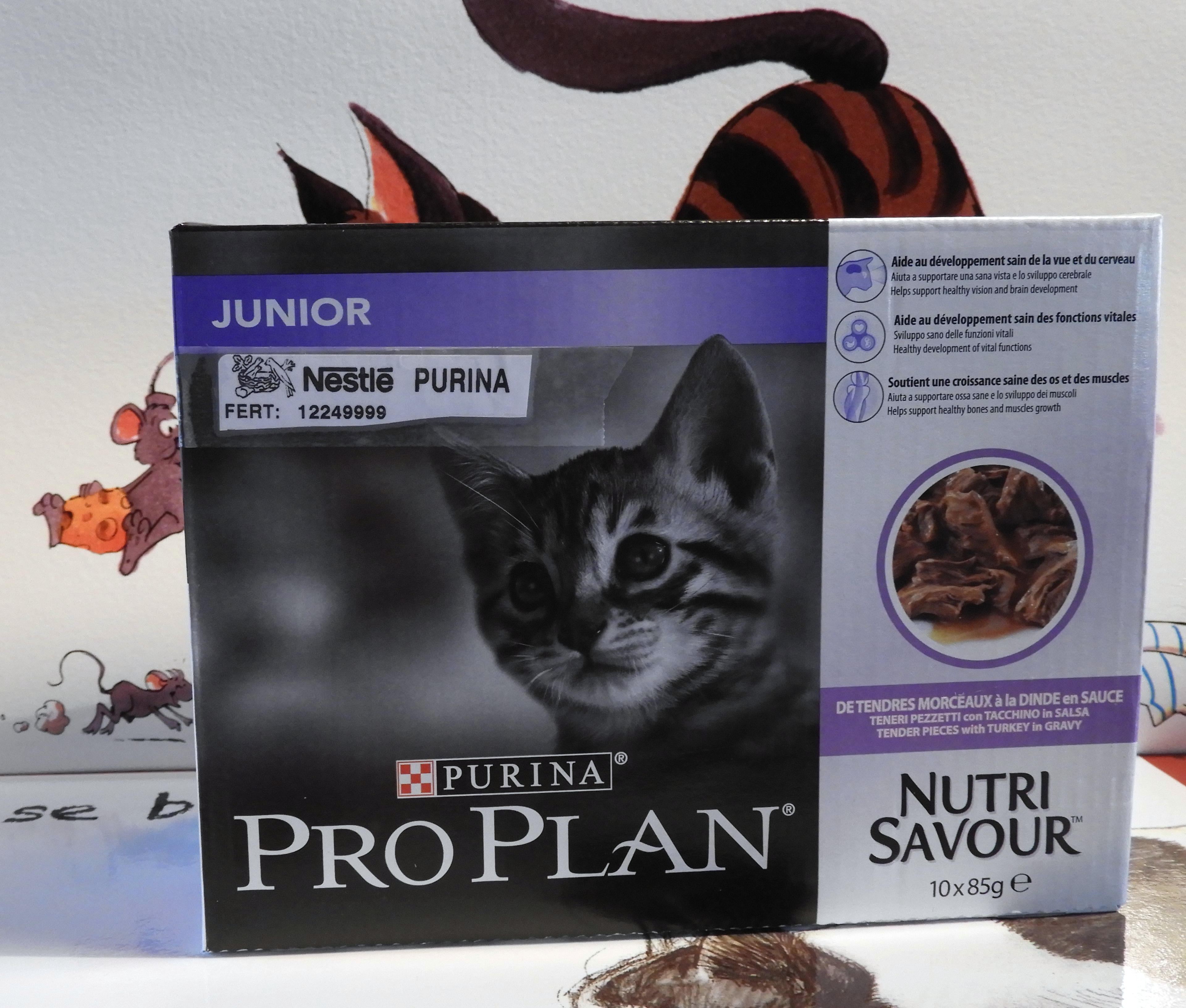 Pro Plan Junior