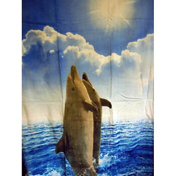 Badlakan Delfiner, Delfin