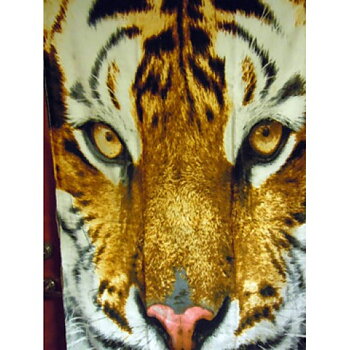 Badlakan Tiger