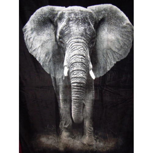 Badlakan Elefant 