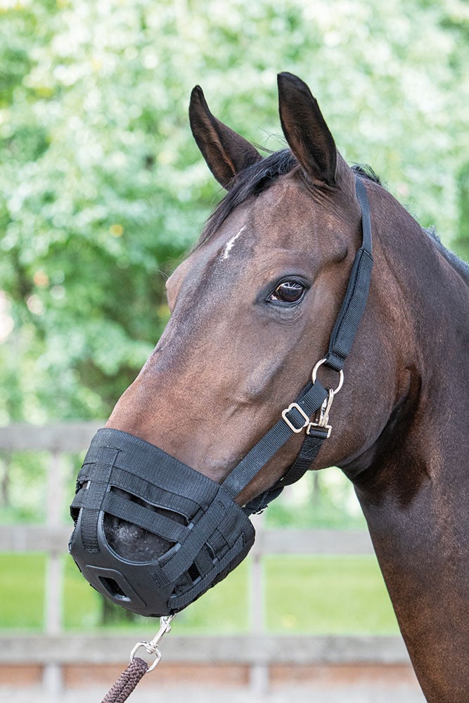 Harry´s Horse Betesreducerare 