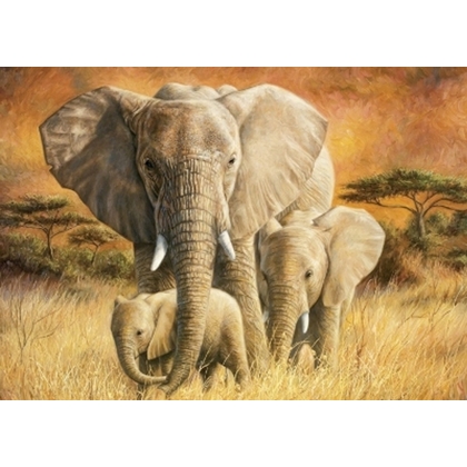 Gratulationskort Elefant med familj &  kuvert - 3