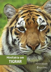 Minifakta om Tigrar