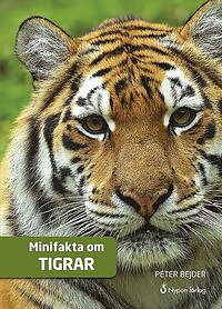 Minifakta om Tigrar