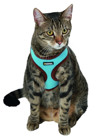 Kattsele Blå Kerbl