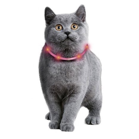 Katt/Småhundar Halsband blink just.bar visio light USB 