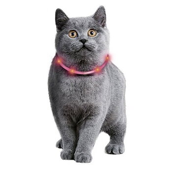Katt/Småhundar Halsband blink just.bar visio light USB 