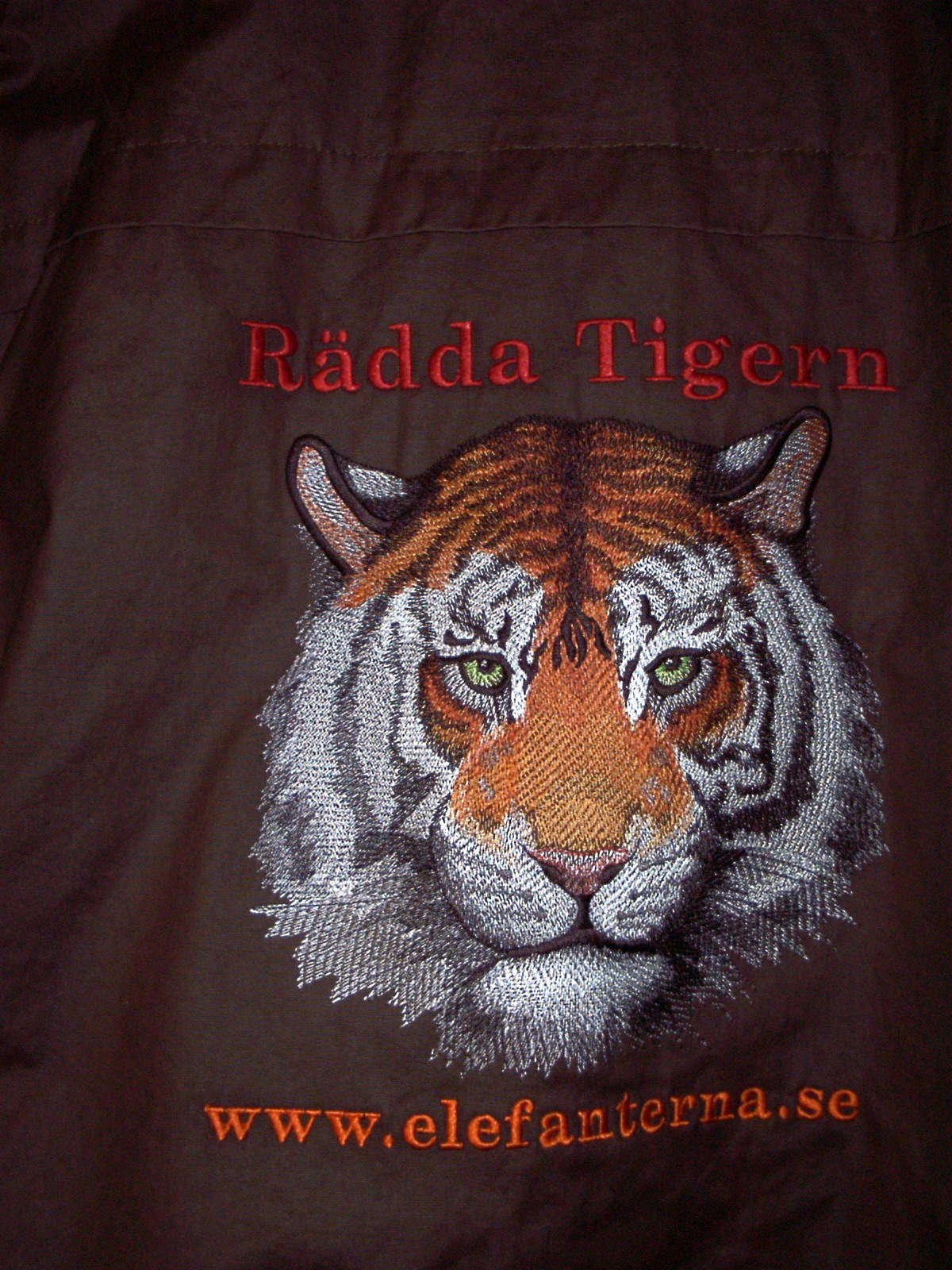 Brodyr Tiger - 2