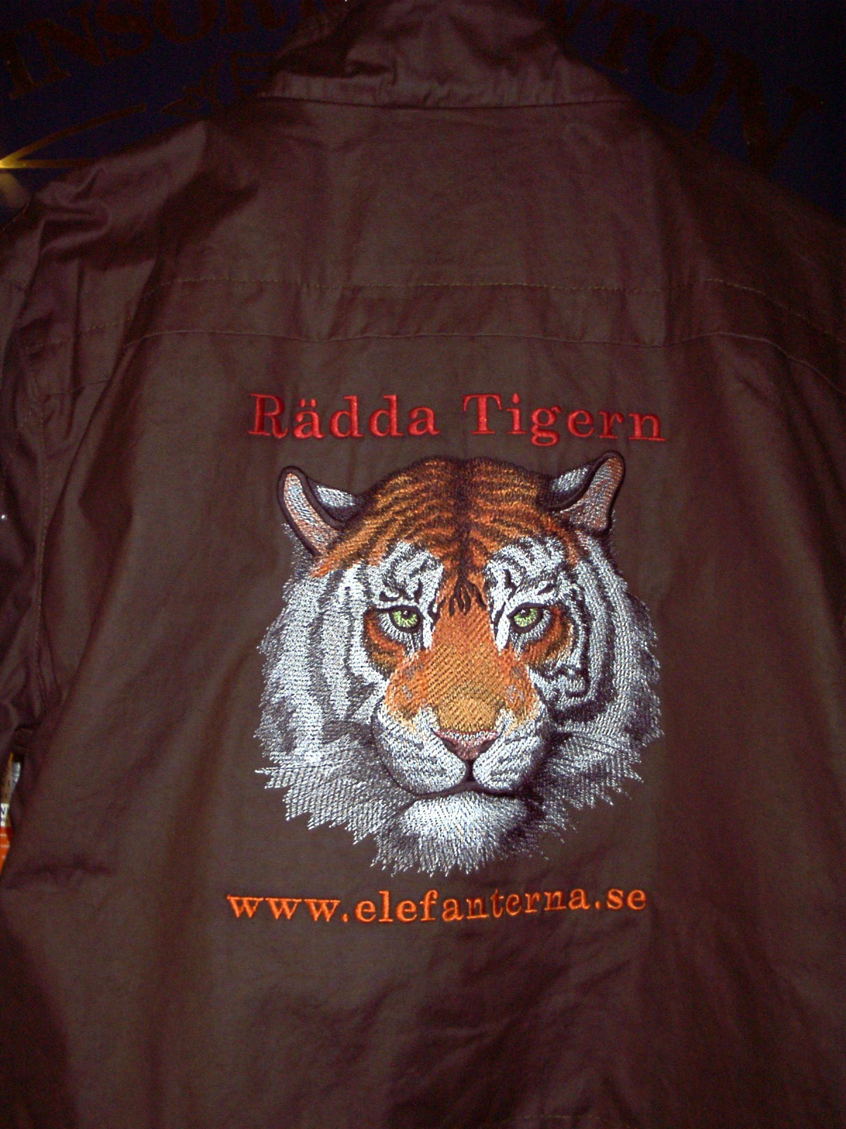 Brodyr Tiger