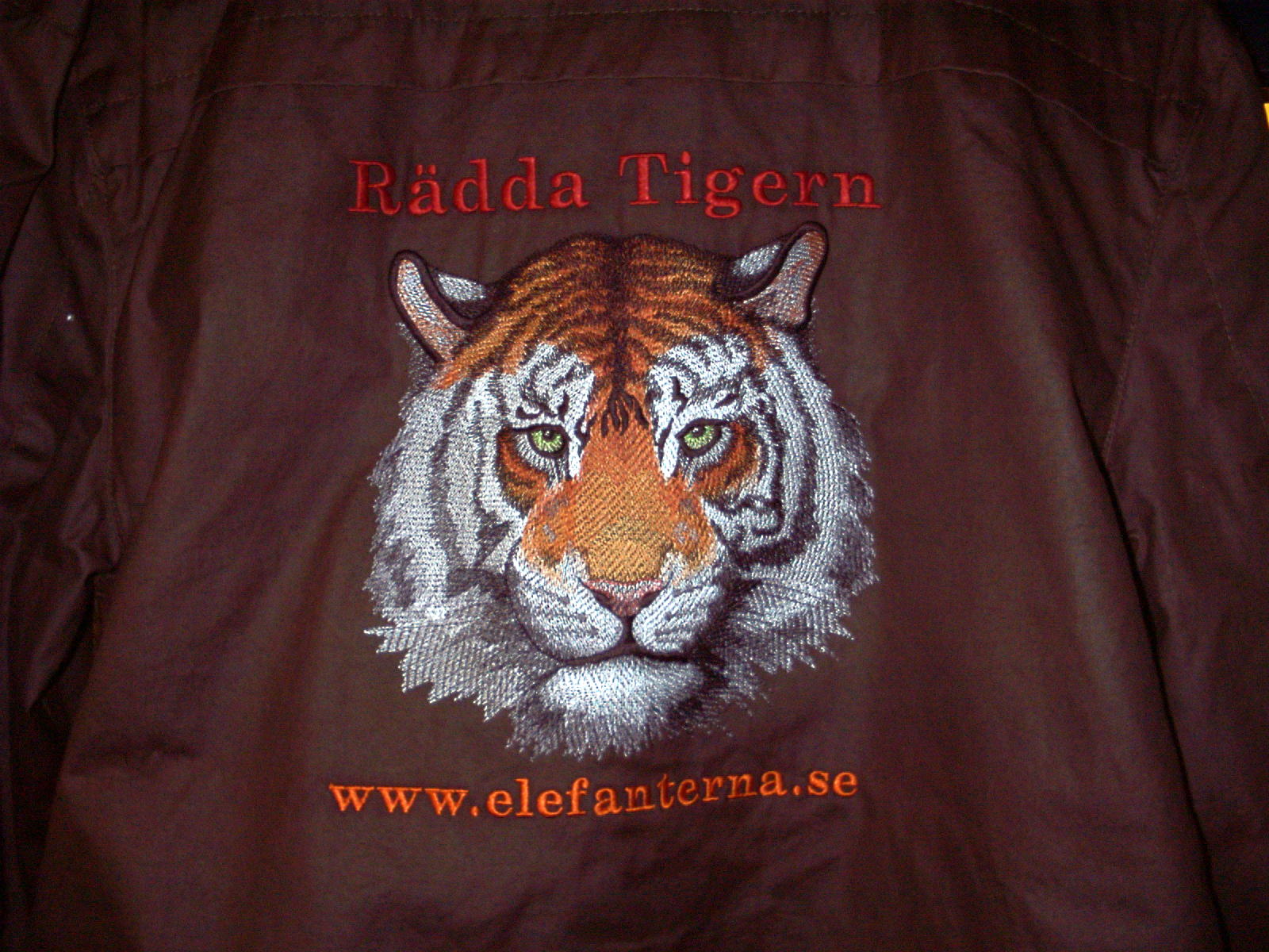 Brodyr Tiger - 3
