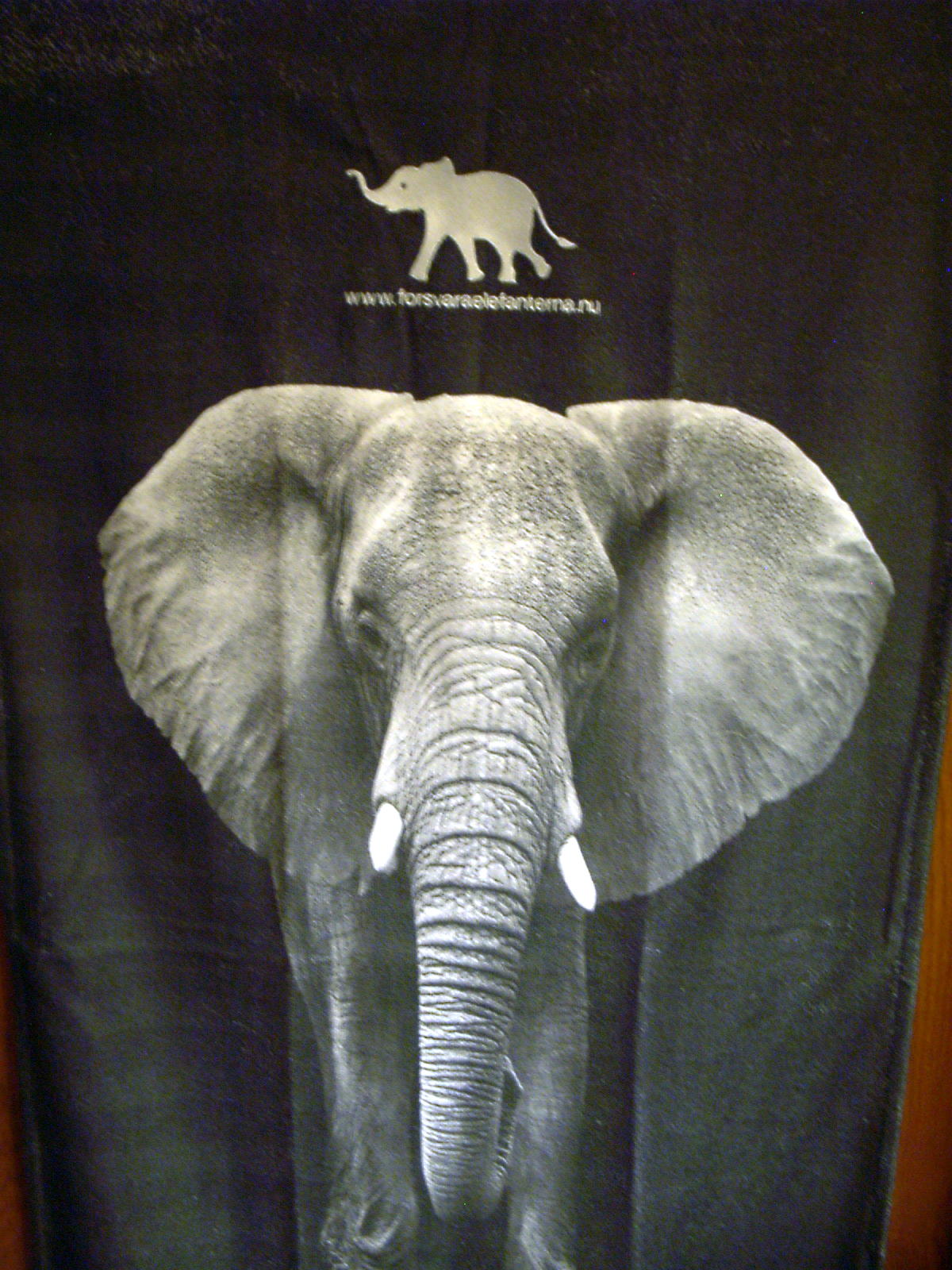 Badlakan Elefant  Broderat 