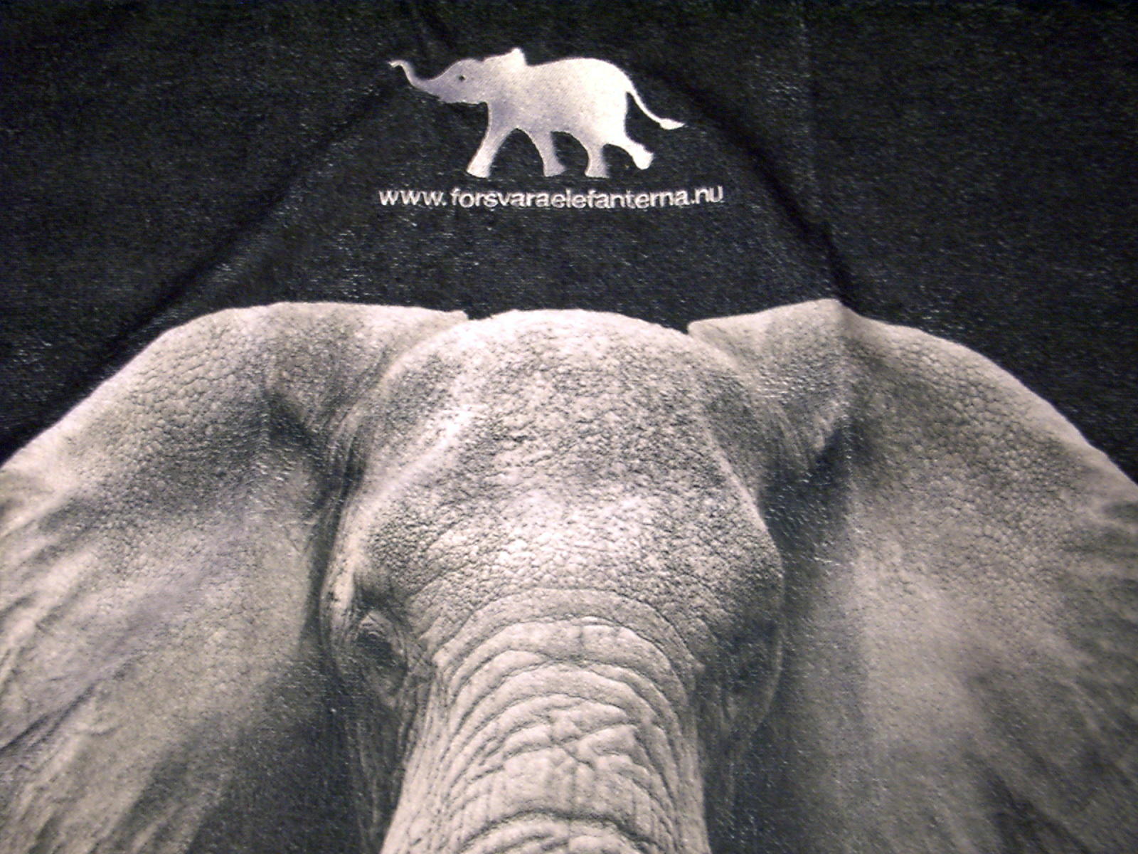 Badlakan Elefant  Broderat  - 3