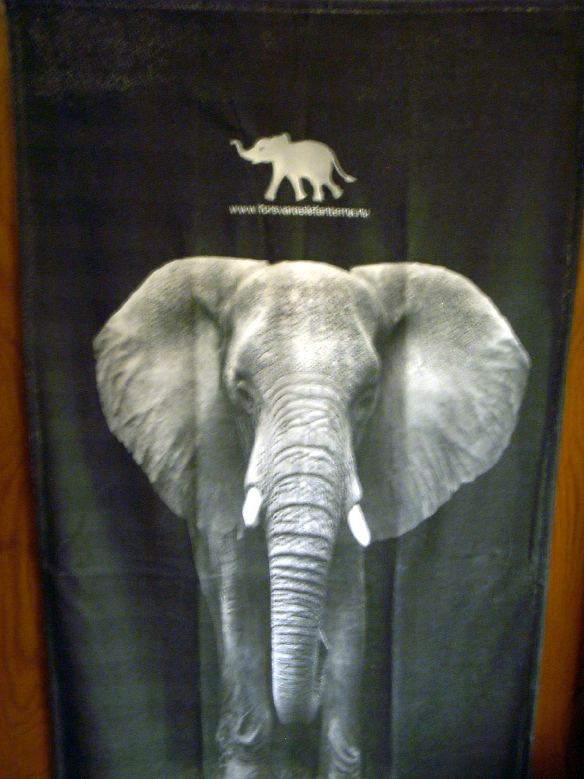 Badlakan Elefant  Broderat  - 2