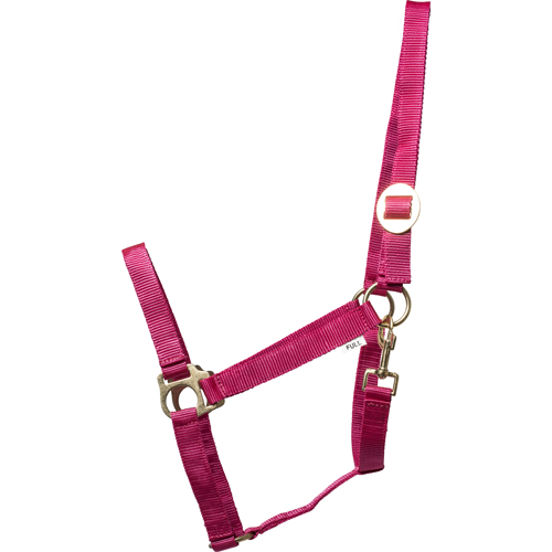 CATAGO Nylon Grimma Pink