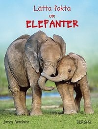 Lätta fakta om elefanter