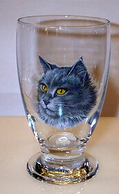 Katt Glas, Allglas 34 cl. Katt Nr 1