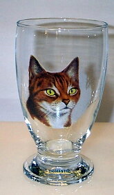 Katt Glas, Allglas 34 cl. Katt Nr 5
