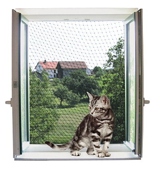 Kattnät