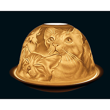Ljuslykta Starlight Katter