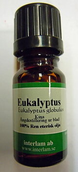 Eterisk Olja Eukalyptus