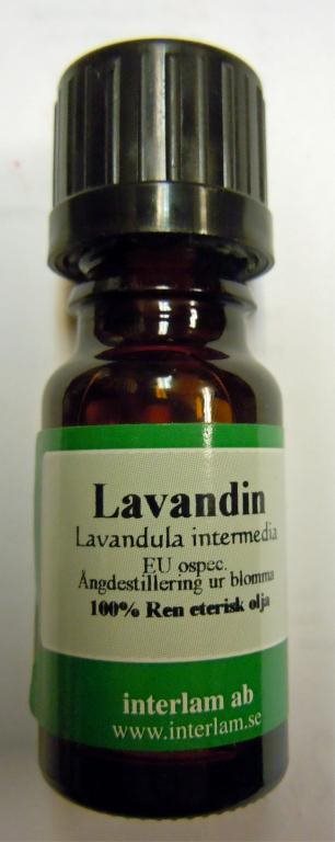 Eterisk Olja Lavandin
