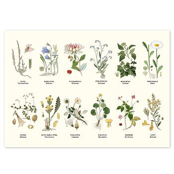 Bordstablett Landskapsblommor