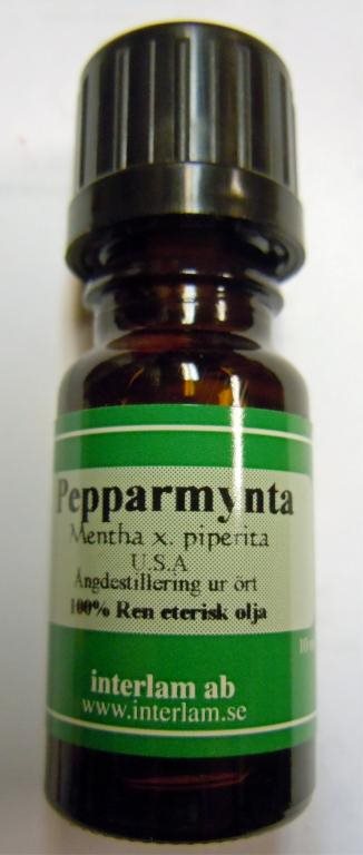 Eterisk Olja Pepparmynta