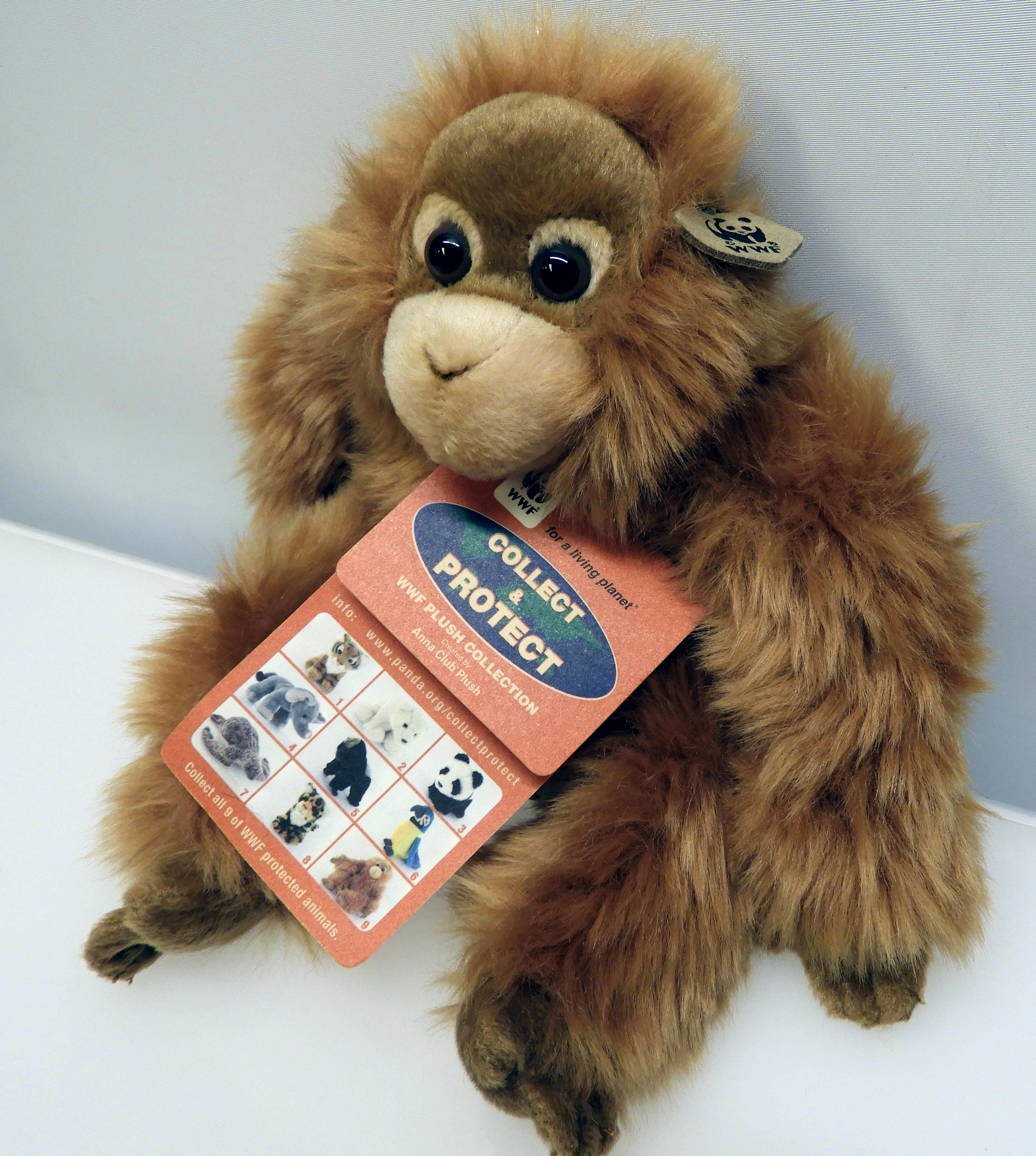 Orangutang