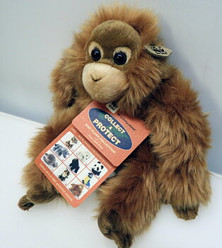 Orangutang