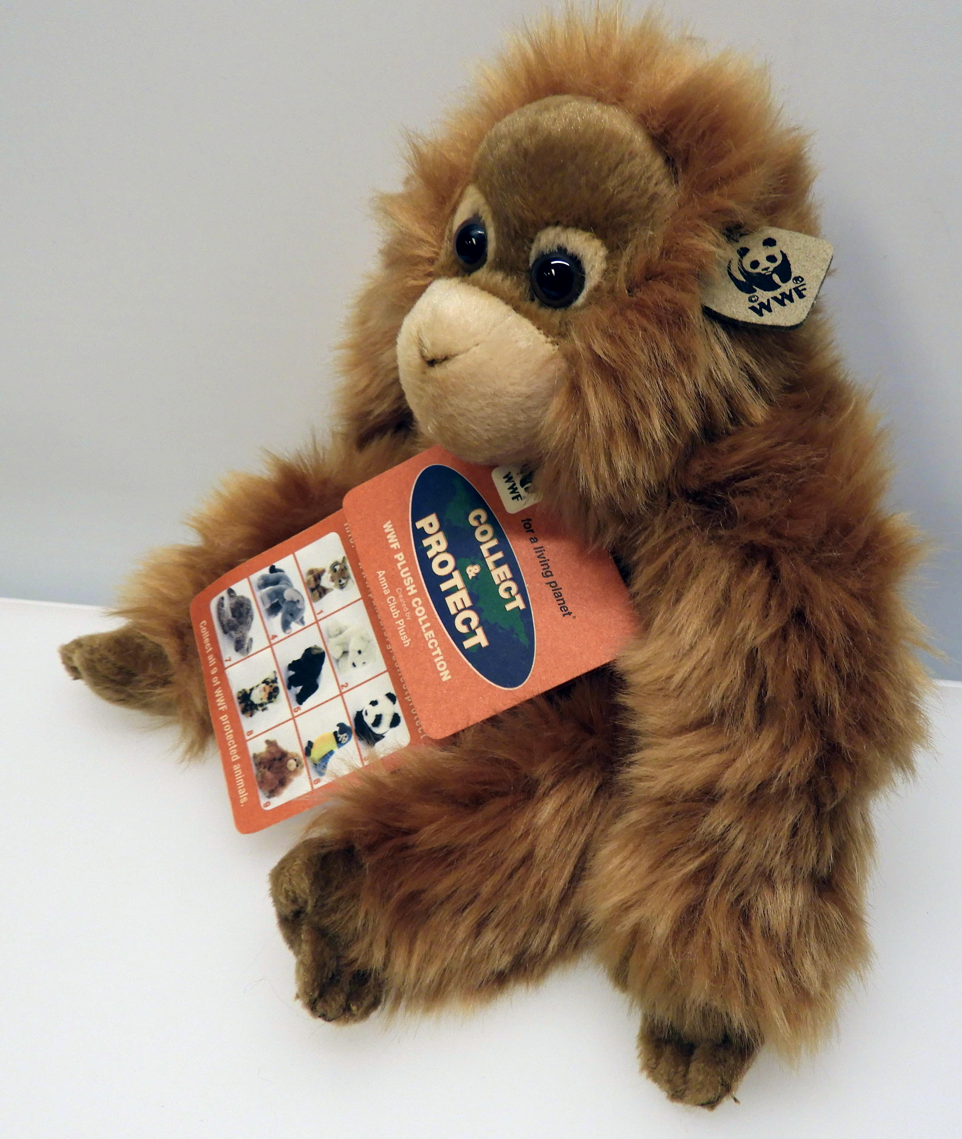 Orangutang - 2