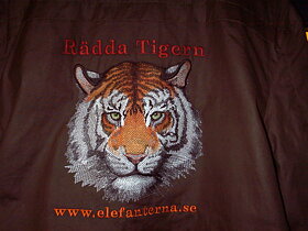 Tiger Brodyr