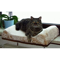 KATT