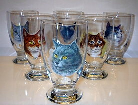 Katt Glas
