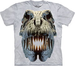 T-Rex Big Skull Dinosaur