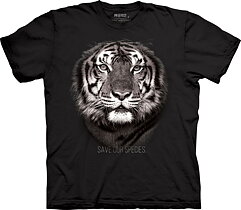 Tigern