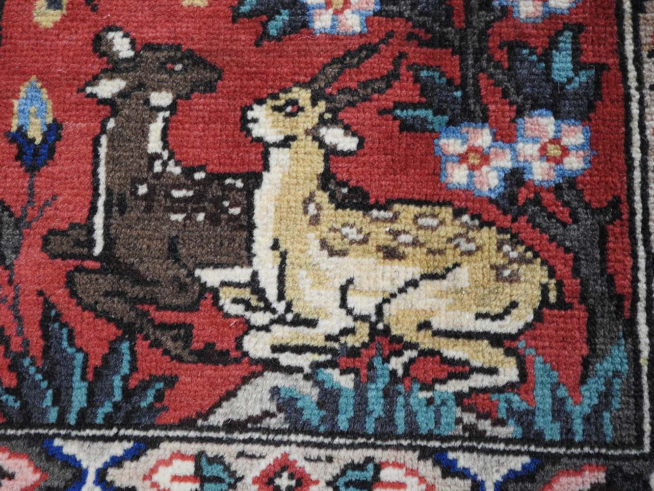 Loli lezbiyenlari Men xotinimning eshagini sikdim