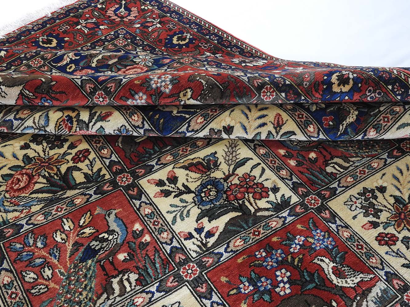 Matyurka fotosurati Matyurka fotosurati