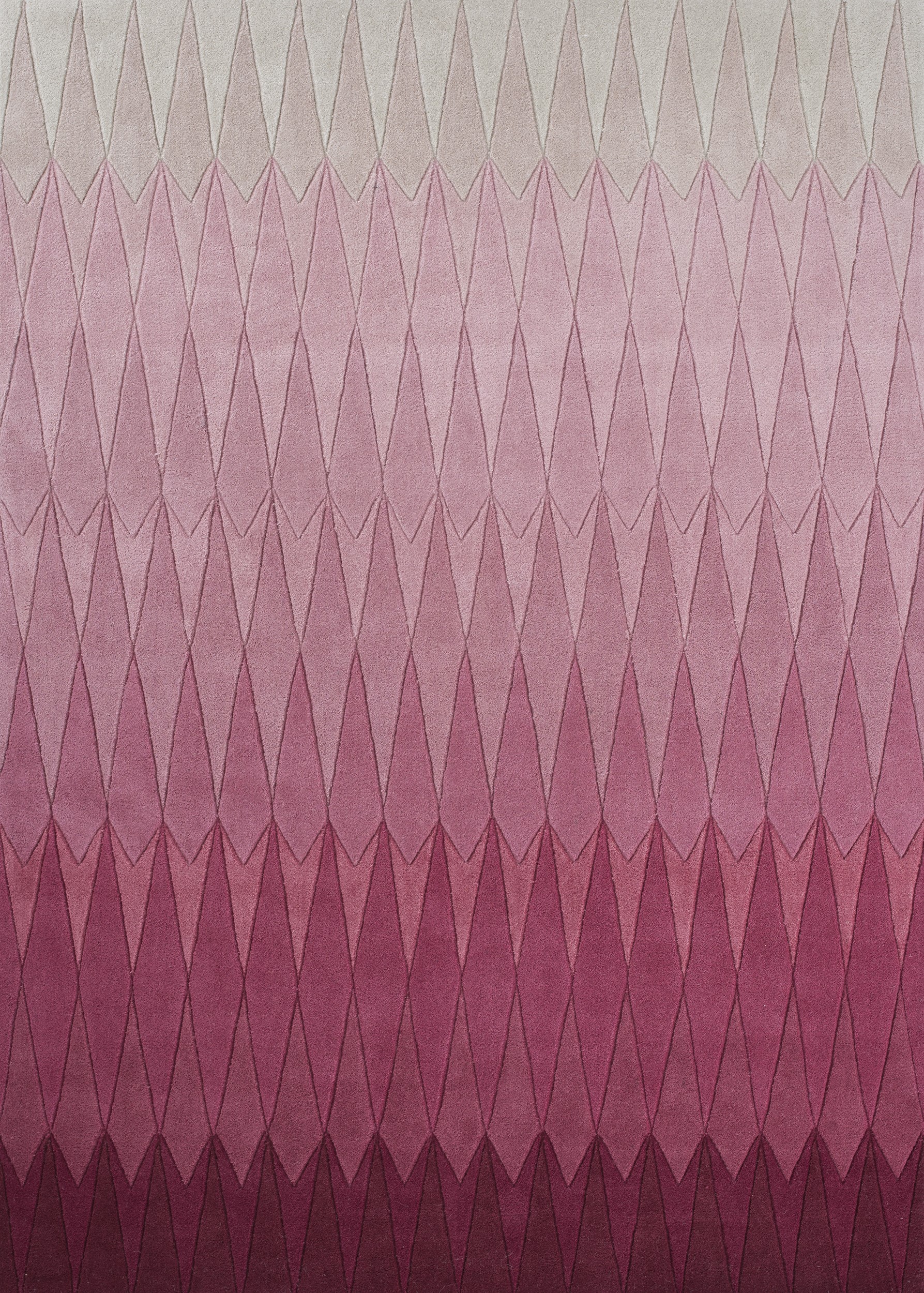 Acacia Rosa 250x350cm - 3