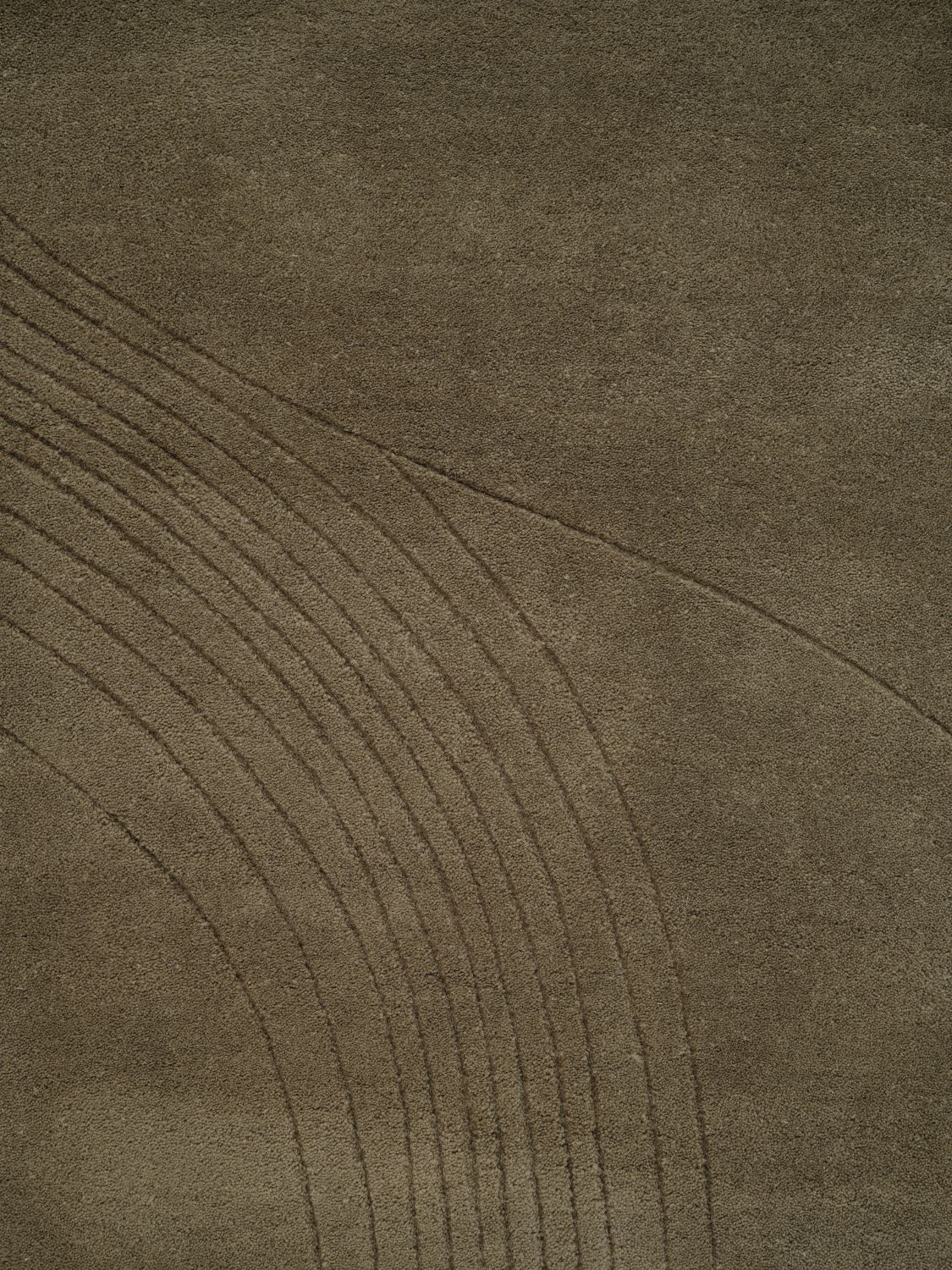 Fluid Arc Olive 225x300cm - 4