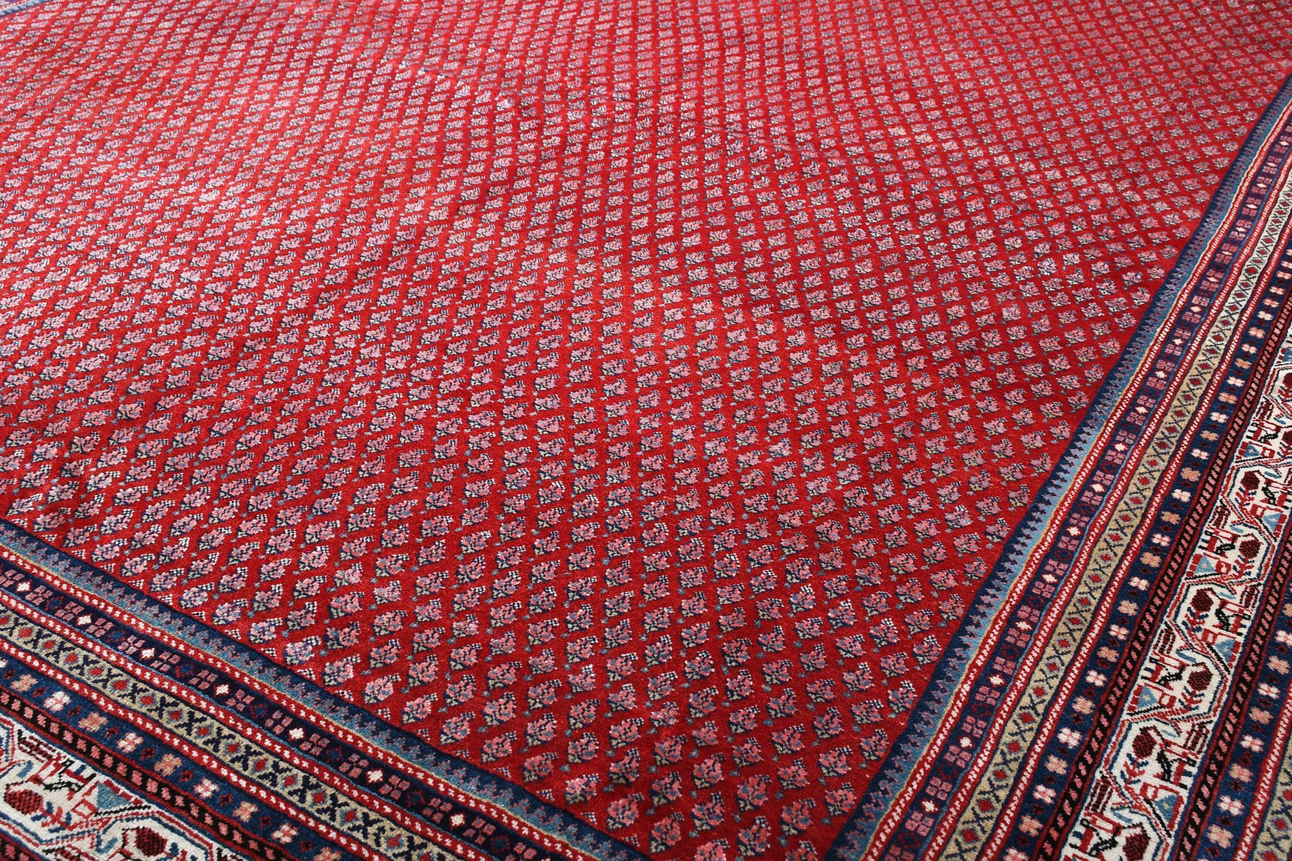 Sarouk Mir 303x412cm - 3