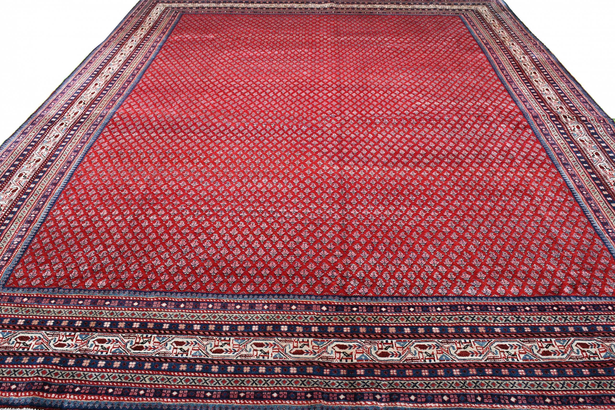 Sarouk Mir 303x412cm - 2