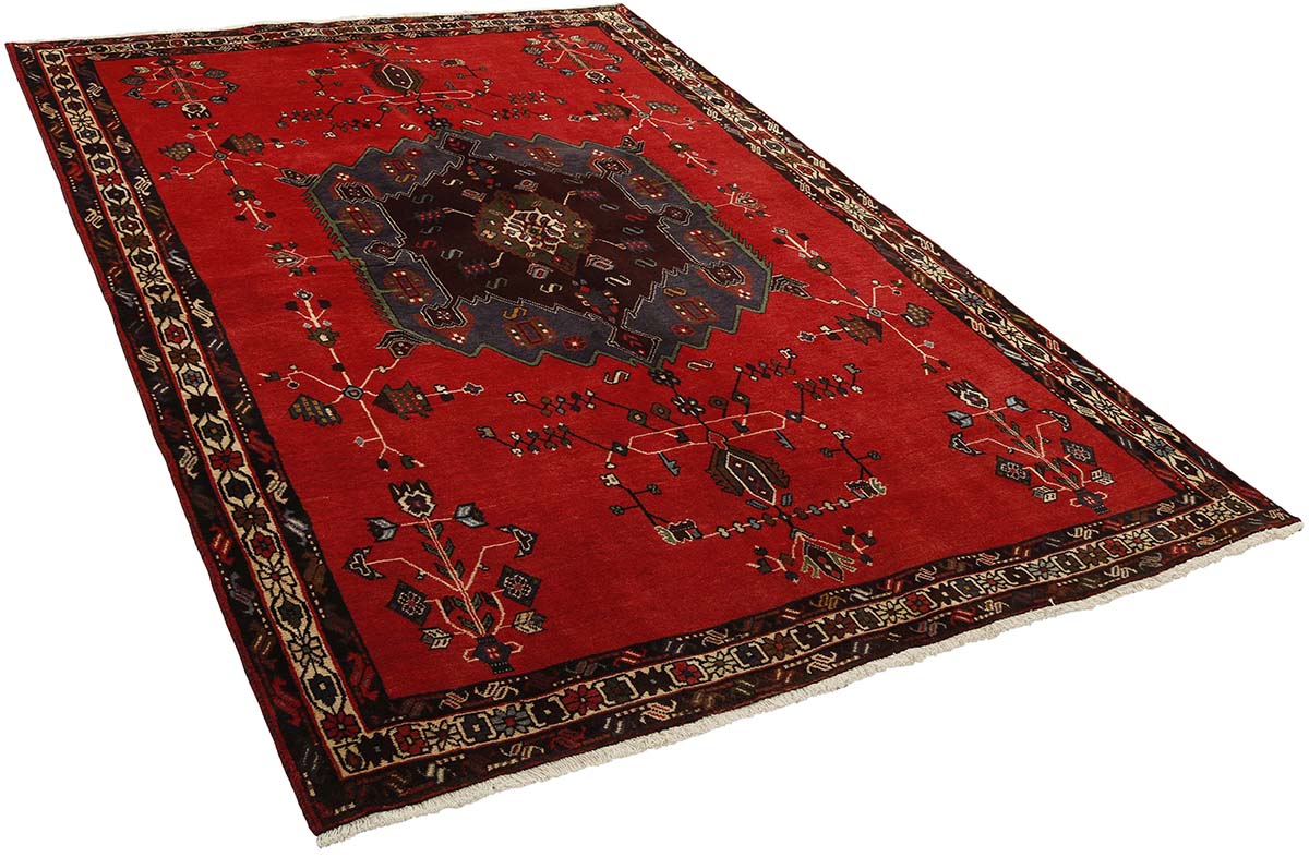 Sirjan 173x246 cm - 5