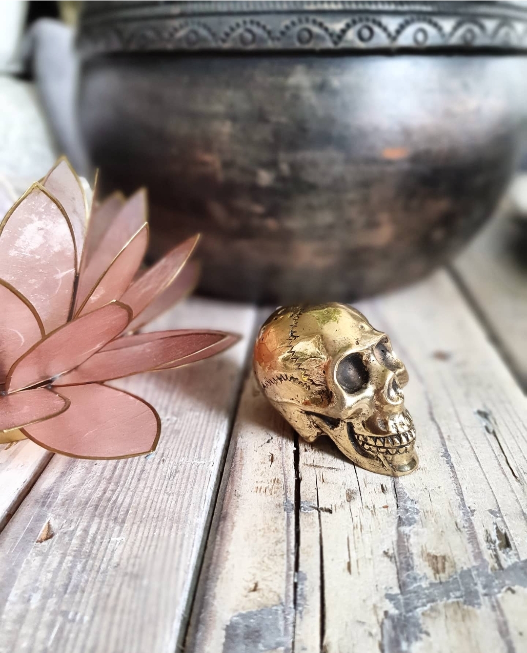 Skull Mini - Guldfärgad Brons - 2