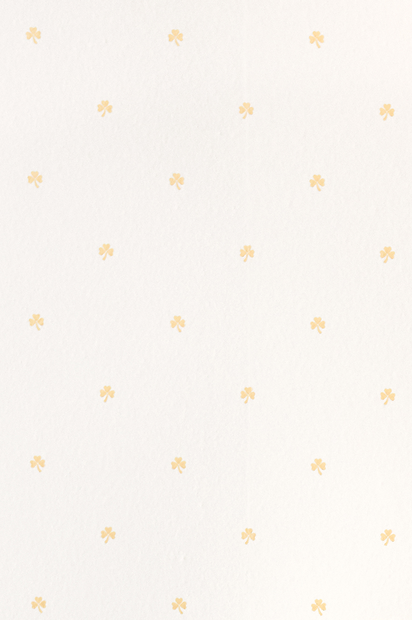HOLLY GOLD - 8