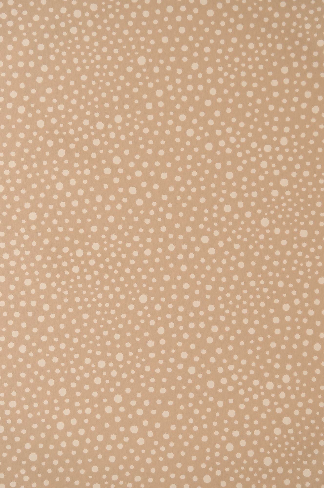DOTS TEDDY BROWN