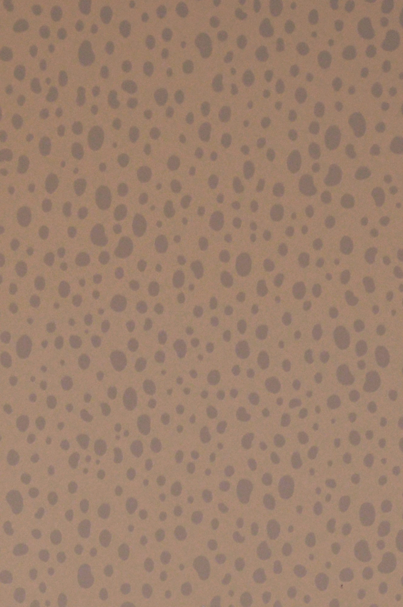 ANIMAL DOTS SOFT BROWN - 6
