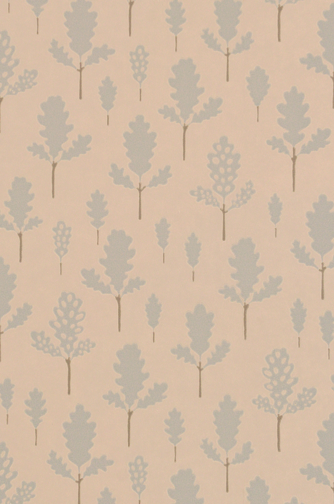 OAK NATURE BEIGE - 4