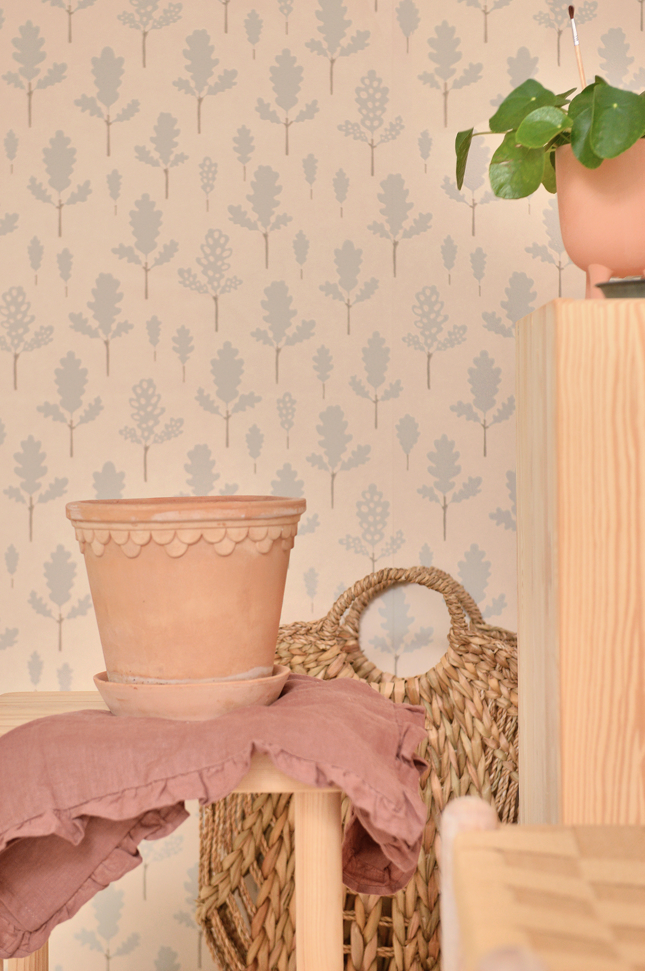 OAK NATURE BEIGE - 3