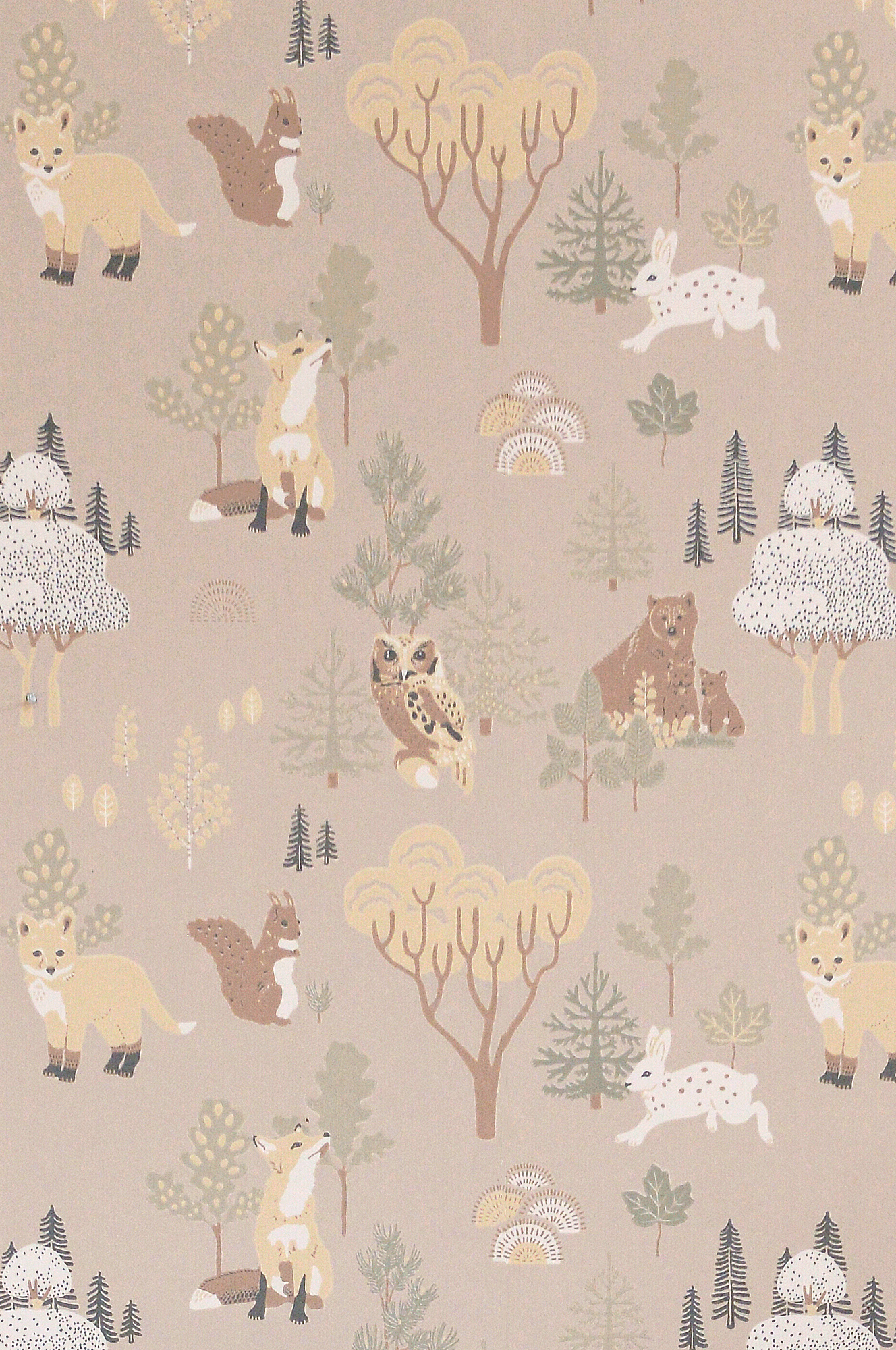 DEEP FOREST SOFT BEIGE - 5